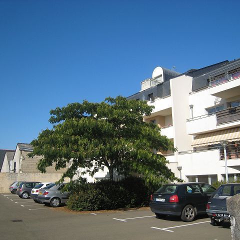 A louer à Montreuil Juigné - Appartement T2 - A ... - Photo 1