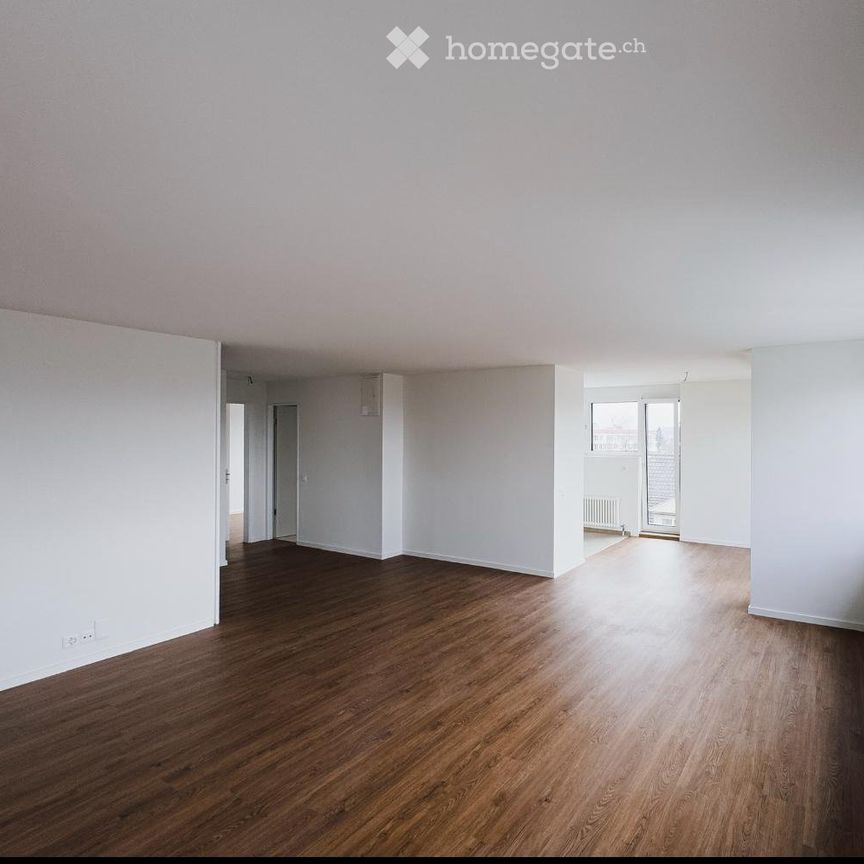 Wohnung in Wallisellen - Foto 1