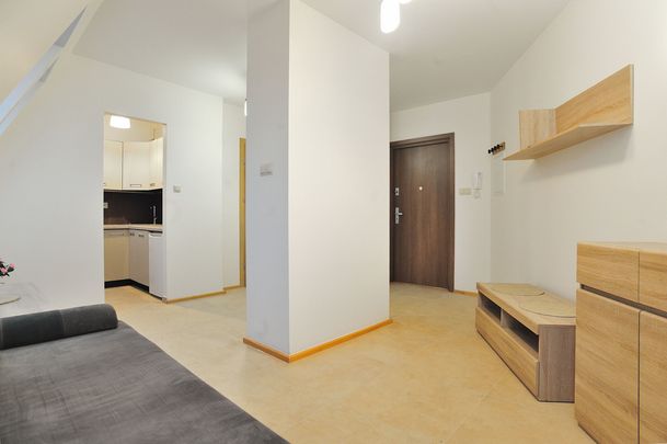 mieszkanie na wynajem Szczecin Niebuszewo - Photo 1