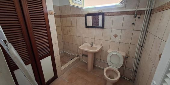 Location Appartement 1 pièce 25m² - Photo 3
