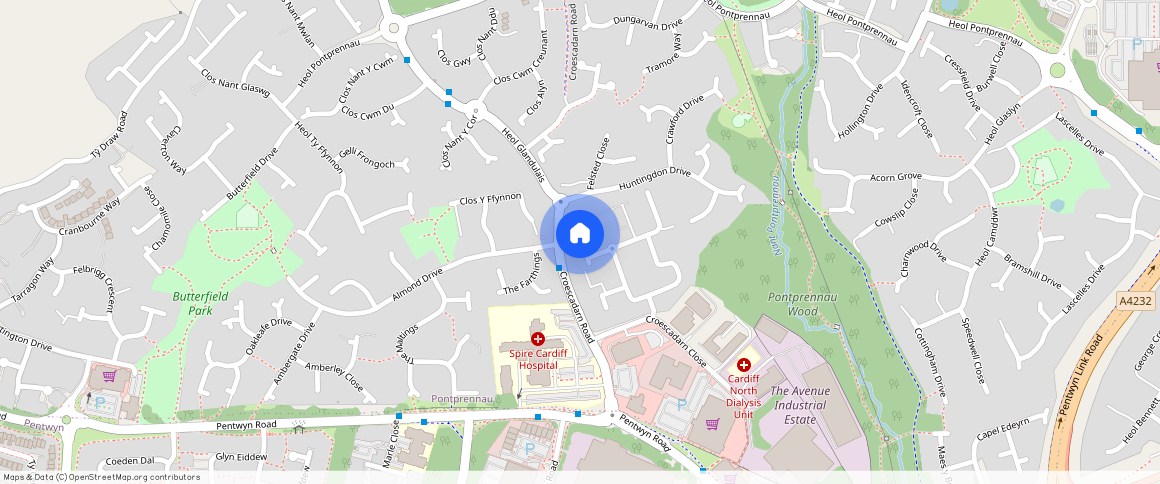 Rowsby Court, Pontprennau, Cardiff, CF23