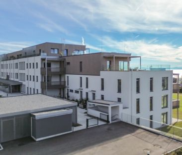 *Über der Nebelgrenze* 4- Zimmer Wohnung mit Terrasse und Garten - Photo 6