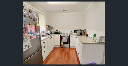 Easy Living in East Lismore - Photo 4