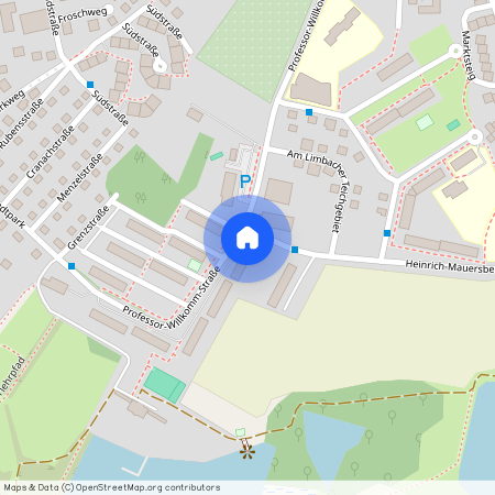 Prof.-Willkomm-Straße 10a, 09212 Sachsen - Limbach-Oberfrohna