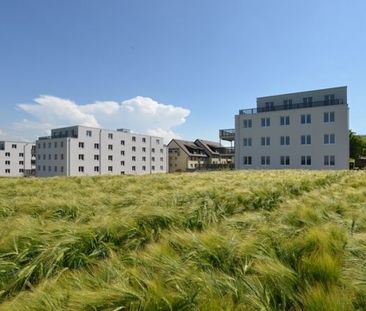 Beaucoup d’espace pour votre rêve - location sans caution. - Photo 3