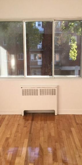 1 CH - 1 SDB - Montréal - $1,350 /mo - Photo 1