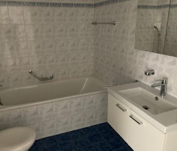 Rue du Clos-Novex 49, 1868 COLLOMBEY - Photo 4