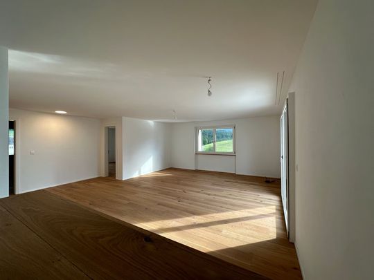 4.5 Zimmer, 140 m², 2. Stock - Foto 1