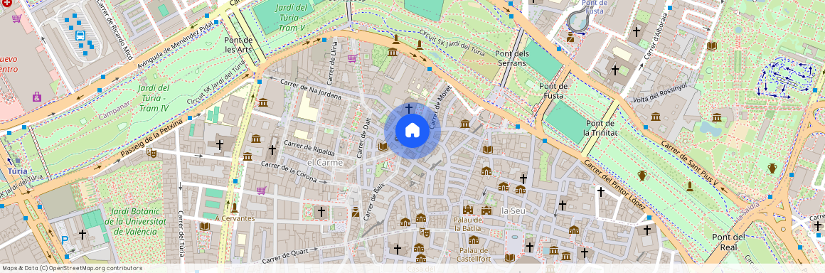 Carrer del Pintor Fillol, Valencia, Valencian Community 46003