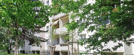 Liebevoll sanierte Wohnung in ruhiger Lage, zeitnahe Anmietung möglich! - Foto 1