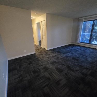 Modern 1 Bedroom Apartment Downtown Available Now - Photo 1
