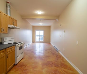 **SPACIOUS** Bachelor Apartment in Downtown St. Catharines!! - Photo 4