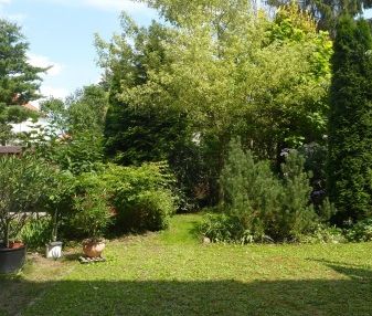 Leipzig, Dölitz-Dösen, Johannastraße 11 - Foto 5