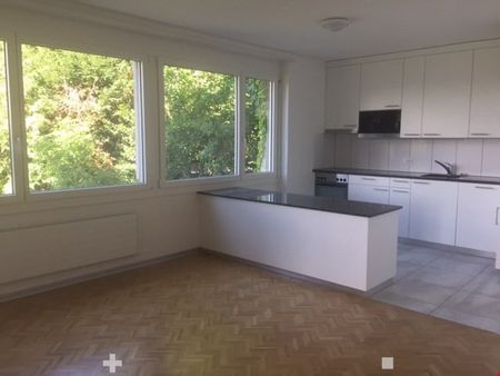 ALPENSICHT ; TERRASSE ; CHEMINEE - Foto 2