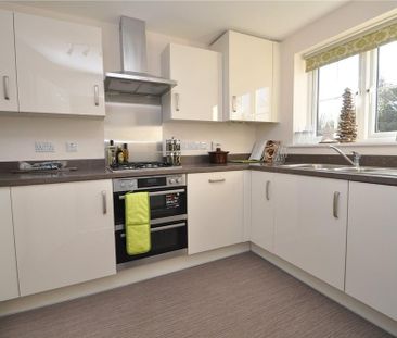 3 bedroom terraced house to rent - Photo 6