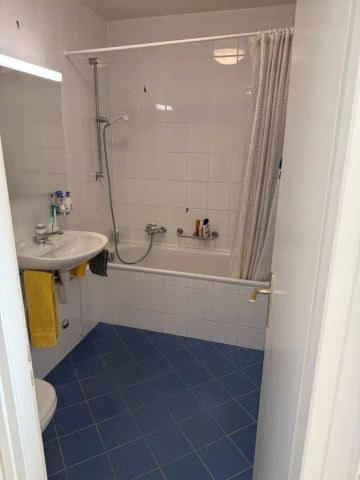 Joli logement de deux pièces - Photo 2