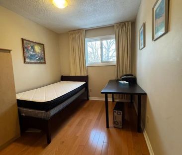 55 SNAPDRAGON DRIVE - Photo 5