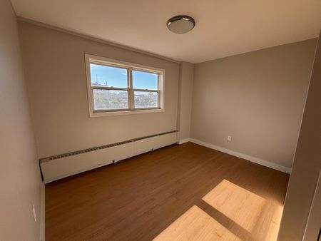 67 - 146 Stewart St - Photo 5