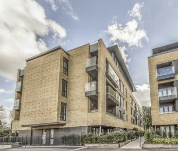 Pipit Drive - Photo 4