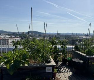 Frühlingserwachen - Foto 6
