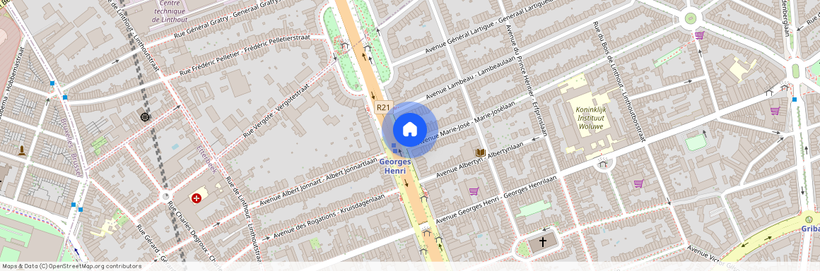 Boulevard Brand Whitlock 142, 1200, Woluwe-Saint-Lambert