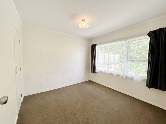 Spacious two bedroom unit plus carpark - Photo 1