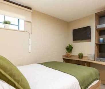 Basement Studio - Photo 3