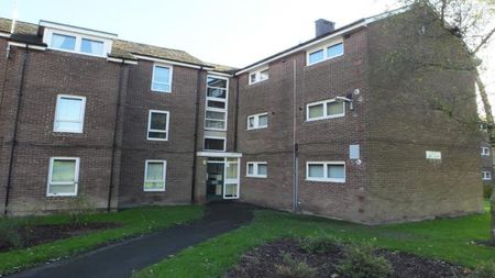 1 Bed Flat, Jordanthorpe, S8 - Photo 5