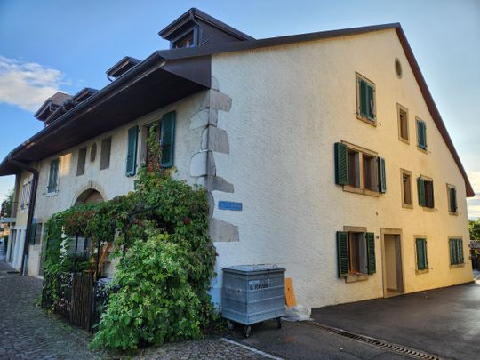 Appartement de 3.5 pièces au rez-de-chaussée entièrement rénové - Photo 1