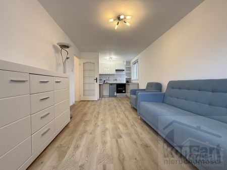 Potulicka, ZACHODNIOPOMORSKIE, NOWE MIASTO, Szczecin - Photo 2