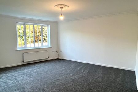 Valley Grove - Photo 4