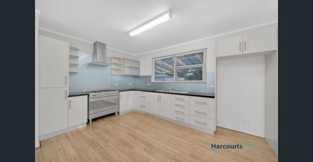 Look No Further - Photo 1