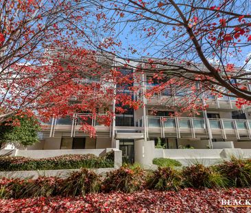 30/47 Wentworth Avenue, Kingston ACT 2604 - Apartment For Rent | Do... - Photo 4