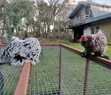 Belgrave South - Photo 6