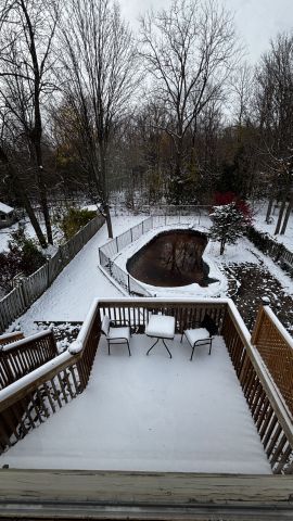 For Lease - 24 Cairns Drive Unit# WALK-OUT BASEMENT, Markham, Ontario - Photo 3