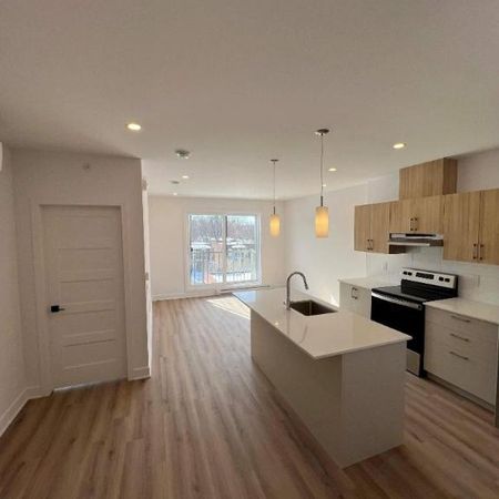 Neuf 3 1/2, électros et internet inclus! 6180 Vanier - Photo 4