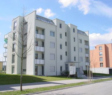 Attraktive Attikawohnung mit grosser Terrasse und Weitsicht - Foto 6