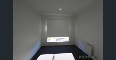 Everything Jubilee has to offer!! - Photo 2