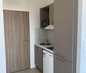 Location Appartement 1 pièce 19m² ALBI 81000 - Photo 4