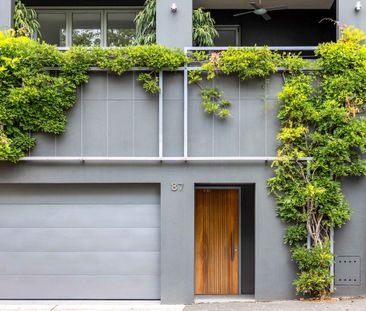 87 Grove Street, Birchgrove NSW 2041 - House For Rent | Domain - Photo 1