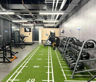 Studio to rent - Photo 3