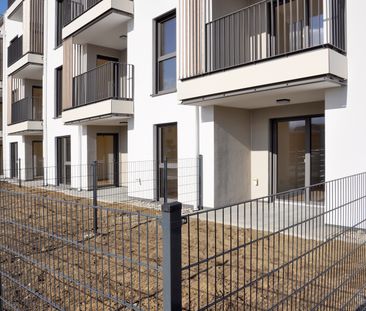 53,49qm 2Zi W-Balkonwohnung, Erstbezug, ökologische Bauweis - Photo 3