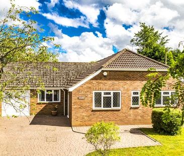 5 bedroom bungalow to rent - Photo 4