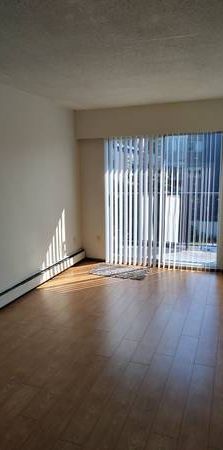 NEAR DOWNTOWN - TOP FLOOR , RENOVATED 1 BR SUITE - Photo 1