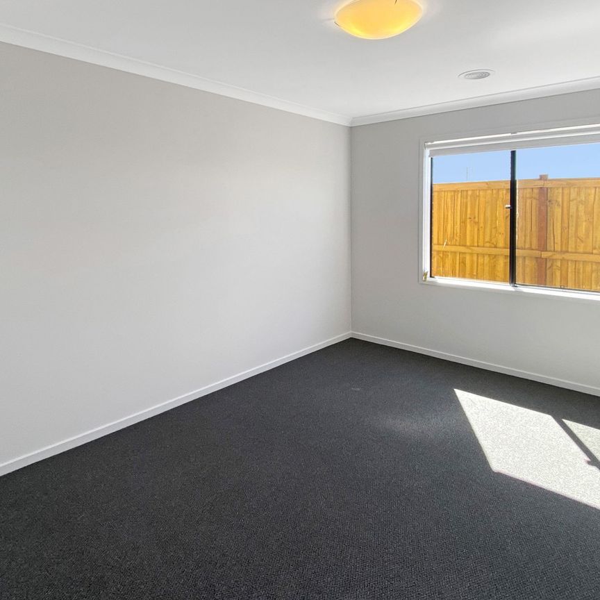 7 Marion Street, Bonshaw - Photo 1