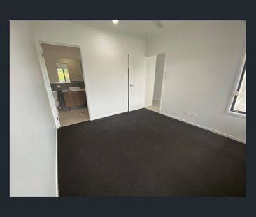 Available Jan 9th - Photo 1