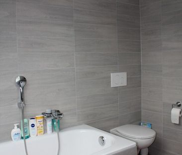 A spacious rooftop terrace facing the setting sun - Photo 5