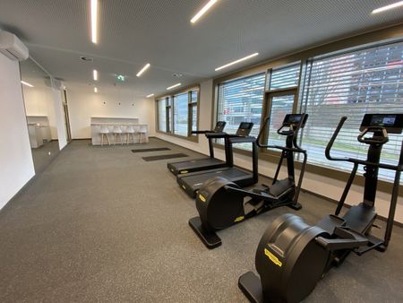 DONAUBLICK: Moderne 1-Zimmer-Wohnung direkt bei U2 - inklusive Gym & Sauna - in 1020 Wien zu mieten - Photo 5