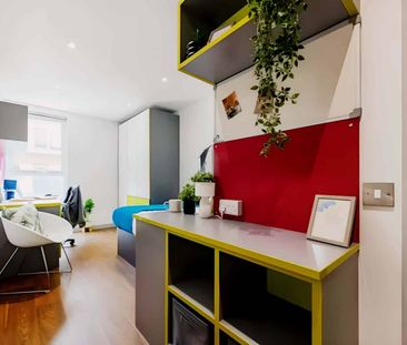 Studio Gold Plus - Photo 6