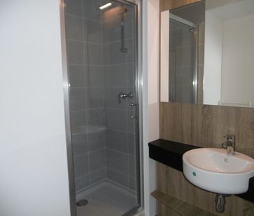 Location Appartement 1 pièce 20m² LYON 7ème - Photo 3
